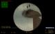 fy_twotowers0001